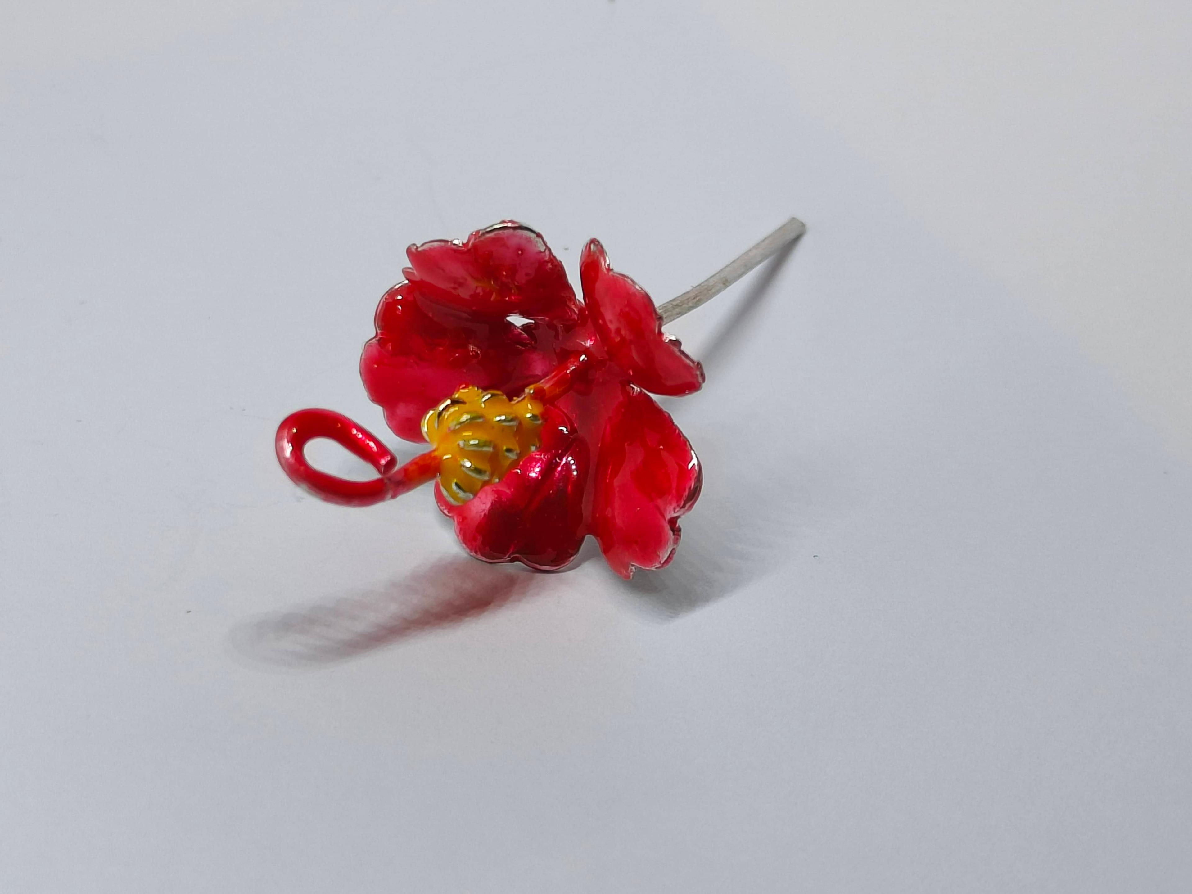 Red Hibiscus/Jaswandi/Meena Joba/ Joba/ Lal Joba view 2