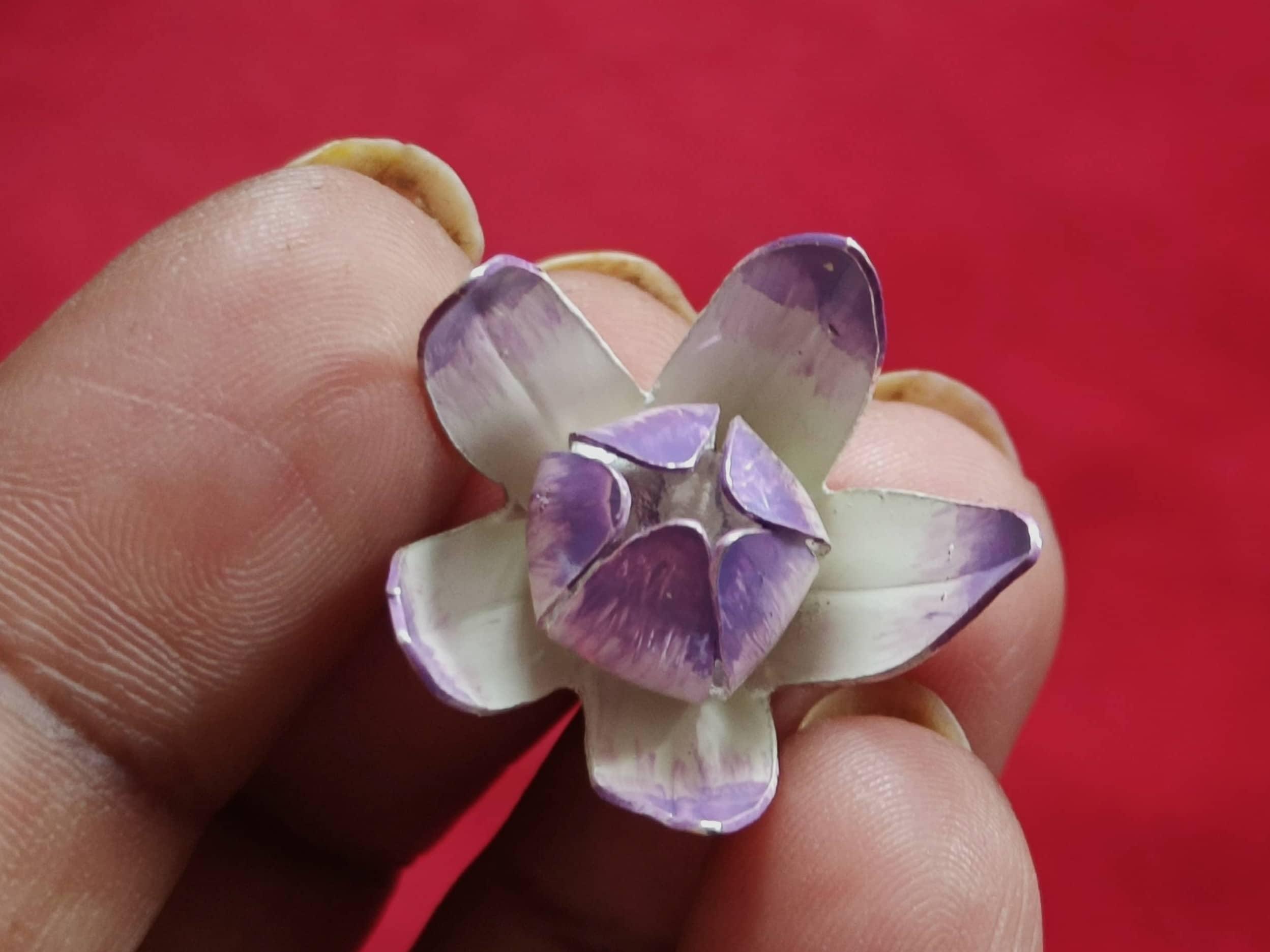 Akondo Flower meena / मदार / आक view 2