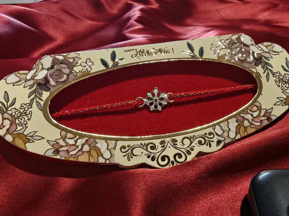Rakhi Aster Daisy view 3