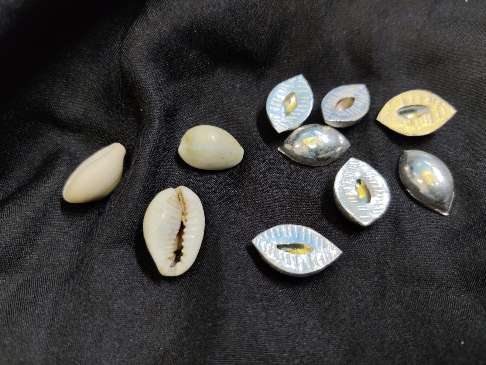 Cowrie Shells / কড়ি / Kodi / Kori view 4