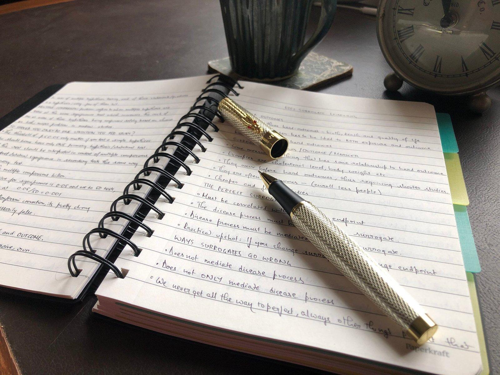 Maharaja Pen view 2