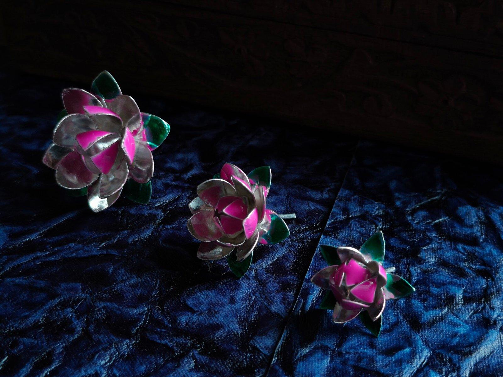 Pink Lotus Flower view 2