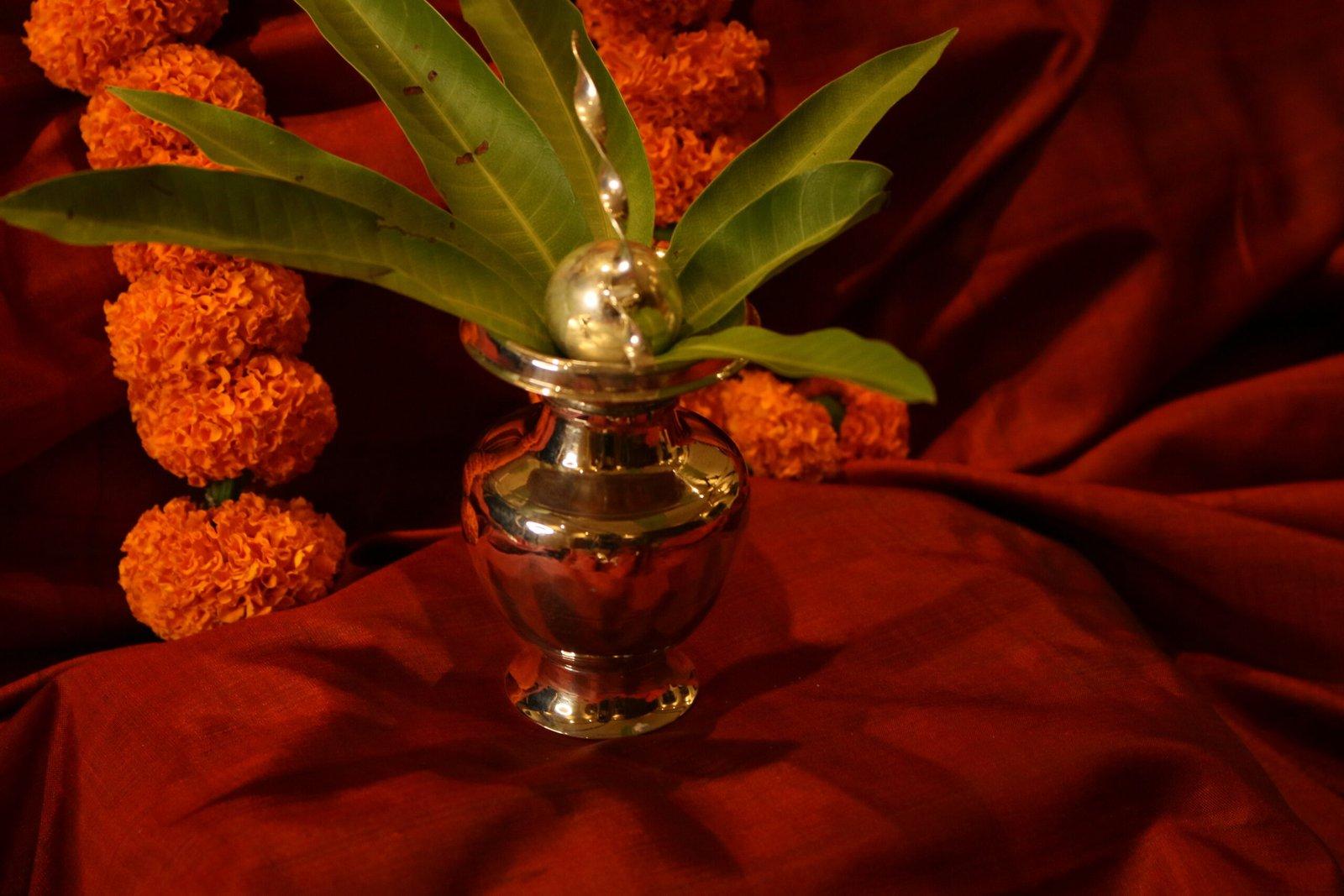 Silver Green Coconut with stem/ Sish Daab view 6