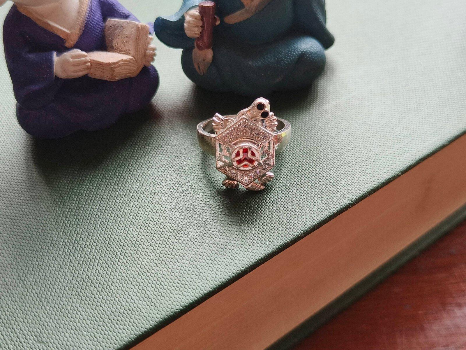 Turtle Ring view 3