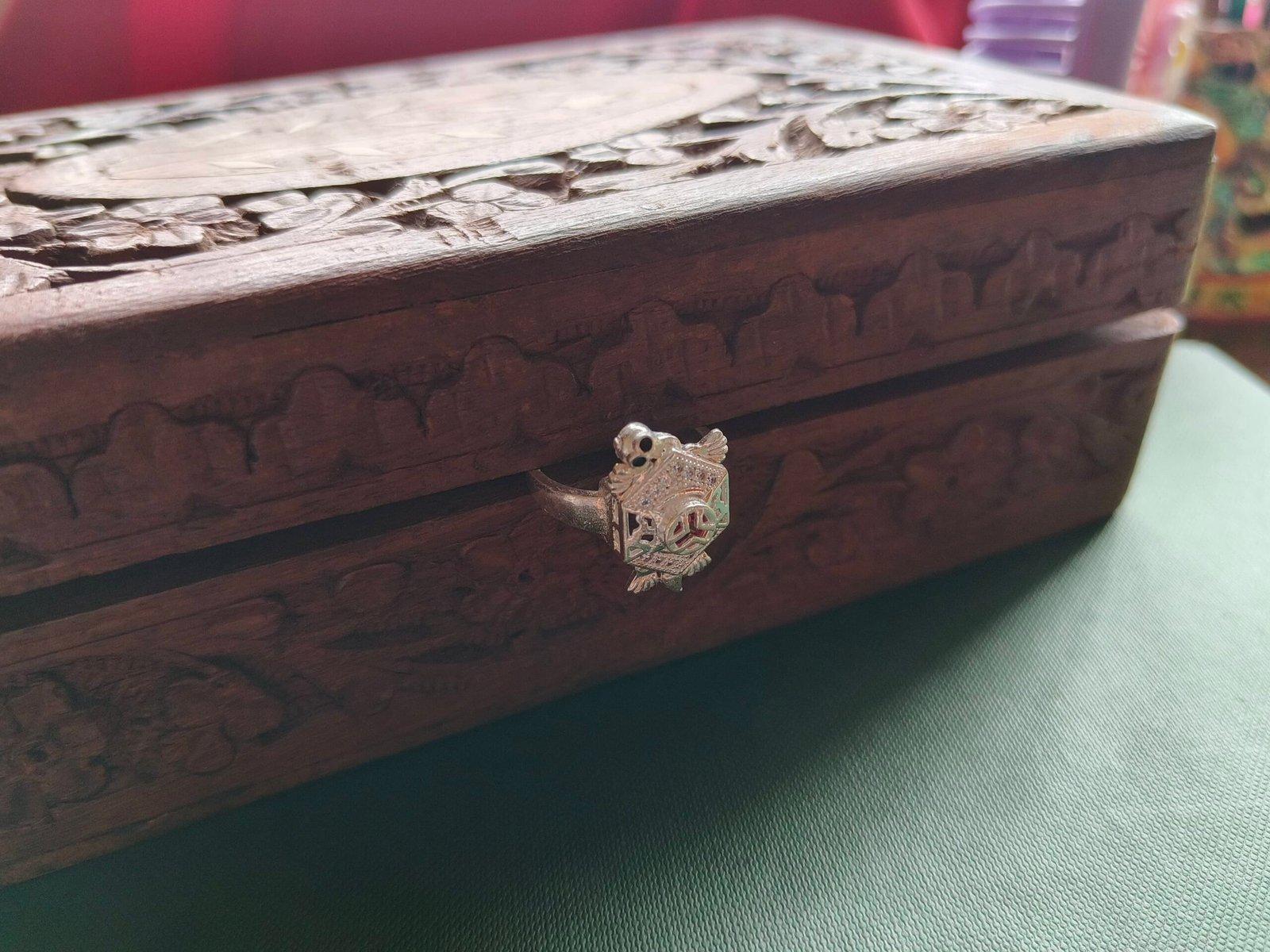 Turtle Ring view 4